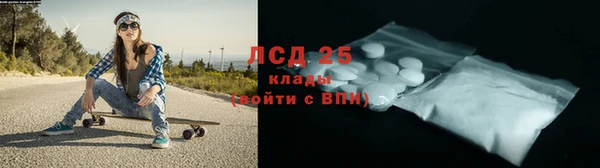 PSILOCYBIN Алексин
